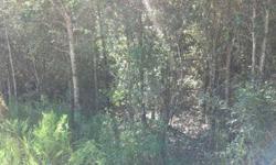 Amazing location! No deed restrictions, homes or mobile homes allowed, natural woods, close to Interstate 10 (US-90W)Listing originally posted at http