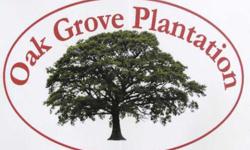 -Imagine life in the country with mountain views, gently laying land and spectacular paved access. Oak Grove Plantation offers pristine building sites with underground uitilites. Views, woods, pasture and is AFFORDABLE. These homesites may be used for