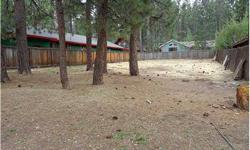 SELLER MOTIVATED - BUILD YOUR DREAM HOME HERE! Centrally located in Big Bear Lake, close to it all! Ski slopes, lake, restaurants, shopping, hiking and the Village. Nice level lot with tall pines and all utilities are available.Listing originally posted