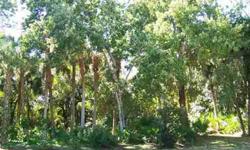 Beautifully wooded 3/4 Acre lot on a very private culdasac.This is a once in a lifetime oppurtunity to purchase a Tropical Paridise at a fraction of the cost.This lot is minutes to Beaches,Boating,Shopping and Medical Facilities and centrally located