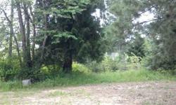 Beautiful, treed building parcel in city limits. May be possible to divide property. Views of the mountains, all city services available. Seller is willing to carry a contract.
Listing originally posted at http