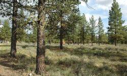 Beautiful and Affordable Winthrop Property! Private 2.16 acres with power and shared well, mostly level, with a lovely mix of Ponderosa Pine and open space. Pleasing territorial and mountain views with good light. Great location on deadend road, excellent