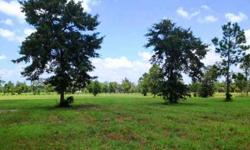 Looking for an equestrian friendly community with endless trails for riding, driving, conditioning, or just to walk your dogs and enjoy nature? This six acre parcel on Spring Branch Road is located within the Windsor Trace equestrian community in Windsor,