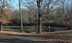 Country land(no restrictions)land is extremely hard to locate without restrictions & this is the perfect piece of property...located just minutes east of broken bow & west of mountain fork river possibilities are endlessif you are looking for land w/ a