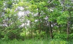 A 10 acres parcel, just 40 minutes form Rochester Hills, MI and 35 minutes form Oxford, MI. Nice grassy land with some woods by the road, and some wetlands. This property has agricultural potential and a location in the quiet community of Leonard, MI. On