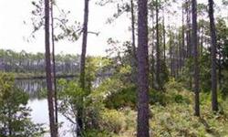 CARRABELLE BOASTS A RIVER WALK; UPCOMING MARINE & MUCH MORE.