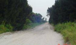 114.91 +/- Acres Great location 1/2 mile south of State Road 70 behind St. Lucie County Fair Grounds. Property within Urban Service Boundary Zoned Agriculture. Previous plant nursery and cattle pasture. Phone and power to property, (3) artesian wells and