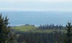 One of the premier view lot on San Juan Island. Located on Little Mountain. Lot faces southwest. Partially sloped with little clearing it will serve as a good building platform with breathtaking 180 degree view of mountains, Victoria and the Straits. Some