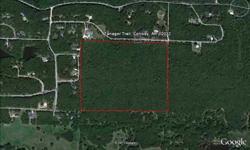 This is a great oppertunity for a developer .This property has already been approved by the city as a subdivision.access to all utilities are available.property has been perked. In beautiful area of conway.Great sites to build your dream home.Listing