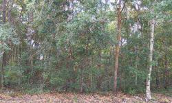 Build your dream home on this great high, wooded, lot across from ICW. Short walk to beach at the 9th Street walk over and convenient to new bridge.Listing originally posted at http