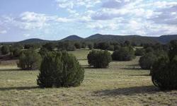 This lot has easy access via Williamson Valley Road. It has two hilltops with gentle slopes and soft soil all the way around. Williamson Valley Rd clips the NE corner of the lot and improved easements are on the other three sides. This lot has gorgeous