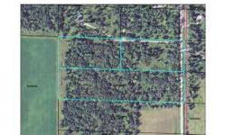 Nice 20 acres South of Town on dead end road. Well wooded. Covenants. Property is surveyed and is comprised of two 5 acre parcels and a ten. Build on one and sell the others if so desired.Listing originally posted at http
