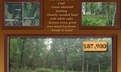 Prime 40 acre hunting grounds in the heart of Pine county. Easy access right off the road and great whitetail hunting. Heavily wooded land with white oaks, which is a preferred species of white-tailed deer. Mature trees offer locations for deer stands.