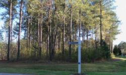 AMAZING subdivision. Stay active with golfing, swimming, boating. Beautiful clubhouse and grounds. Something ALWAYS going on in Albemarle Plantation!
Listing originally posted at http