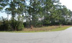 Build your dream home here in a gated community!This lovely piece of paradise is high and dry.Located in a beautiful setting on a circular street. If you are looking for country living, this is where you belong. Over an acre of land in beautiful Fawn Lake
