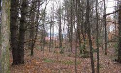 Corner lot with lots of road frontage-level land with VIEWS across North Village Road of Kearsarge Mountain-Last time this land was conveyed was in 1959. Used to be all fields back in the 1960's. Great spot for a homesite with potential VIEWS and privacy