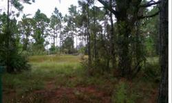 Beautiful 10 Acres, Nice high ground. On well maintained dirt road. One pond on property, with house pad already in place.Listing originally posted at http