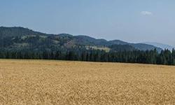 Magnificent farm sitting just above the Kettle River Valley. 240 acres of prime farm ground, creek, pond & timber. Very productive ground; rated by the USDA soil resource report as Prime Farm Land. Very well maintained country home with full basement & a
