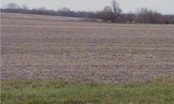 110 acres located in southern Leavenworth county. Located just off hard surface road. Tons of room to do what ever you want. Great hunting with lots of wildlife.Listing originally posted at http