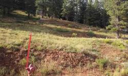 Nice view lot on the runway in Strawberry Valley Estates. Septic is in, water is stubbed, and lot is ready to build a dream cabin on. Dont wait and miss out on this great opportunity.Listing originally posted at http