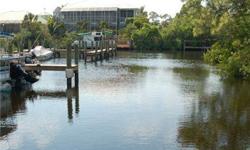 Large Lot in Gulf Access Community with Boat Docks and Fishing. Golfing and Beaches are nearby with this oversized Improved LOT just steps away from your boat. Close to Coconut Point, Gulf Coast Town Center, Miromar Outlets, Beaches, Colleges, Hospitals