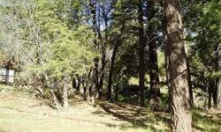 LARGE LEVEL TREED LOT THAT BACKS TO ACREAGE & STREAM. CALLING ALL BUILDERS & DREAMERS. GREAT PRICED LOT TO BUILD YOUR "BIG BEAR CABIN" ON ACREAGE LOT NEXT DOOR AVAILABLE TOO. BUY BOTH LOTSAND HAVE AN ACRE OF LAND THAT FRONTS SAND CANYON. VERY PRIVATE &
