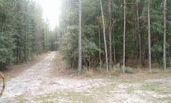 Come build your dream home or set up your new mobile on this 10 acre parcel of 10-15 year old planted pines in the North end of Ft. White. Timber the pines or just clear enough space for your home. Nice quiet location with easy access to I-75. Listed by