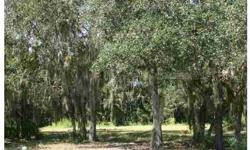 This is the perfect country setting for your dream home. Beautiful preserve lot with pines and oak hammocks in golf course community. The lot has been cleared and filled, culvert and house pad in place, high and dry - previously permitted and ready for