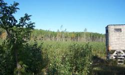 50 acres of prime hunting land North of Williams, 1/4 mile to Lake of the Woods,near Long Point, with covered stands and cut trails..fully set up for all your hunting needsListing originally posted at http