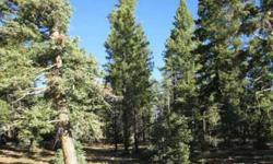 Take a look at the opportunity on this wonderful Duck Creek Pines Phase 3 Lot. This is a great time to become a property owner in prestigious Duck Creek Pines. Enjoy the towering Ponderosa Pine and Quaking Aspen in this well kept subdivision. Water, power