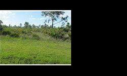 8 ACRES PLUS GREEN STRIP EACH SIDE!PRAIRIE CREEK PARK PUNTA GORDA.ALL BLACK TOP ROADS ESTATE SIZE HOMES , OFFERS PRIVACY, NATURAL BEAUTY IN THIS WONDERFUL DEED RESTRICTED COMMUNITY. ONLY MINUTES FROM PUNTA GORDA , PORT CHARLOTTE SHOPPING,PORT CHARLOTTE