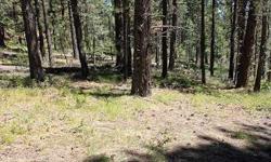 Tall ponderosa pines and end of the road privacy create an idylic setting for your mountain hideaway. With convenient access to both Durango and Bayfield this terrific parcell is only minutes from Lemon Lake and Vallecito Lake for excellent fishing,