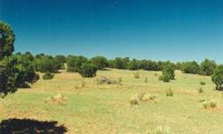 Well on site! 21.578 acres in the heart of New Mexico, located about 30 miles west of Santa Rosa, appx 4 miles south of I-40. Call for details.
LEGAL DESCRIPTION