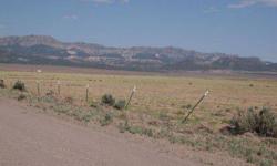 Comes with 1 share (equivalent of 1.6 ac ft water/convertable to culinary water) West Panguitch water. Fenced one side, power runs along road. Paved access til last .9 mi or so. then becomes improved gravel road. Nice views all around, south view of Red