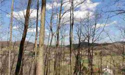 VIEW AT THE TOP! Gatlinburg View! Very conveniently located. Per Seller