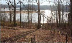 PICTURESQUE LAKE FRONT LOTS (62 & 63) THAT OFFERS OPEN SPACE THAT IS NOT HEAVILY TREED WITH SLOP TO THE WATER LOCATED IN AN ESTABLISHED COMMUNITY** PAVED ROAD**BOAT DOCK W/1- SLIP PER COE APPROVAL**WALK TO THE WATER**CITY WATER AVAILABLE AT STREET**WAX