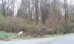 Come build your dream home on a beautiful corner lot in Lake Casse. Walking distance to lake, close to shops and school, less than 10 minutes to 684 and Croton Falls train station. SUBMIT ALL OFFERS!Listing originally posted at http