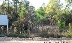 +/-5 acres located in Astor. Buildable lotof record with community water and sewer available. Owner will consider first mortgage financing. Wooded lot, perfect for a weekend retreat in outdoorsman paradise. Suitable for home or manufactured housing.
