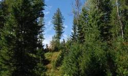 Great privacy yet close to town. This 5 acre parcel with panoramic views is the perfect spot for building you new home. Located just 7 miles from Sandpoint. Affordable Home Packages available. Very reasonable cost giving you the opportunity to participate