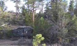 Great location! This one acre home site has lots of potential with tall pines & level area for your custom cabin or manufactured home plus hillside too.
Listing originally posted at http