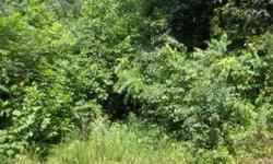 great find in an acreage tract with development potential. wooded and just across the street from a public boat launch.Listing originally posted at http