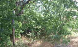 Hard to find 10.446 acres in Lindale ISD close to town, but not in the city limits. No city taxes, wooded acreage, build your dream home and bring the horse, have your cabin in the woods, but only minutes from town. Great buy on this acreage. Mobil home