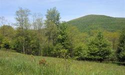 Build your Mountain dream home or gentleman's farm,on this completely private, tranquil lot. Property is open and bright with gorgeous mountain views! Property is lightly treed with a beautiful home site overlooking a lovely meadow with potential for your