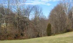 VERY NICE 4.37 ACRE BUILDING LOT IN SOUTHERN WASHINGTON COUNTY. SMALL CUL-DE-SAC LOCATION WITH NICE HOMES. PARTIALLY WOODED WITH SMALL STREAM. PERC APPROAVED. PLAT IN HAND. PRICED TO SELL QUICKLY!Listing originally posted at http