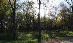 Beautiful fully wooded lot on nearly three acres surrounded by executive custom built homes. McCutcheon Schools. Great south location - easy commute to Indy.