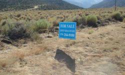 Spectacular 10.01-acre unimproved lot, divisible into two separate lots, minimum 5 acres. Over 700 feet of frontage on Chiatovich Creek with great views of Davis Meadows and the White Mountains. The lot is quite flat compared to others in the area. The