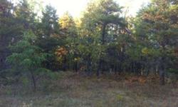 Great Recreational Parcel in between Ranch Rudolph and the Brown Bridge Quiet Area. Partly Wooded and Rolling. Backs up to 1000's acres of State Land! Near Boardman River, Shore to Shore Horse Trail, Minimal Restrictions. Great spot for a cabin or year