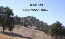 Quaint 5.07 acres (per county)of Blue Oak Forest within the Sierra Nevada Foothill of Eastern Fresno County (area commonly referred to as Squaw Valley). Build your dream home and enjoy country life while living in an area of rcreational opportunities.