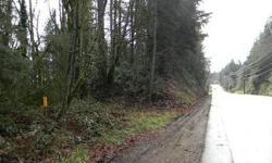 1+ acre located on beautiful Fox Island at a price that makes this property affordable to build your own custom home. Enjoy the surrounding wildlife just minutes from Gig Harbor yet far enough to offer the privacy you are looking for. Come on out and take