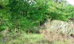 Great opportunity for a homesite in a fast-growing community. Homeowner Park provides water access, boat ramp. Easy access to Austin, San Antonio, and Dallas/Fort Worth.
Listing originally posted at http